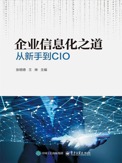 企业信息化之道:从新手到CIO