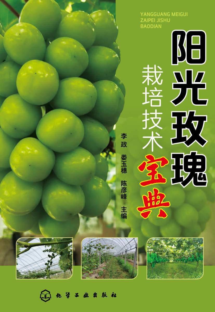 阳光玫瑰栽培技术宝典