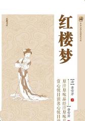 红楼梦(古典名著普及文库)
