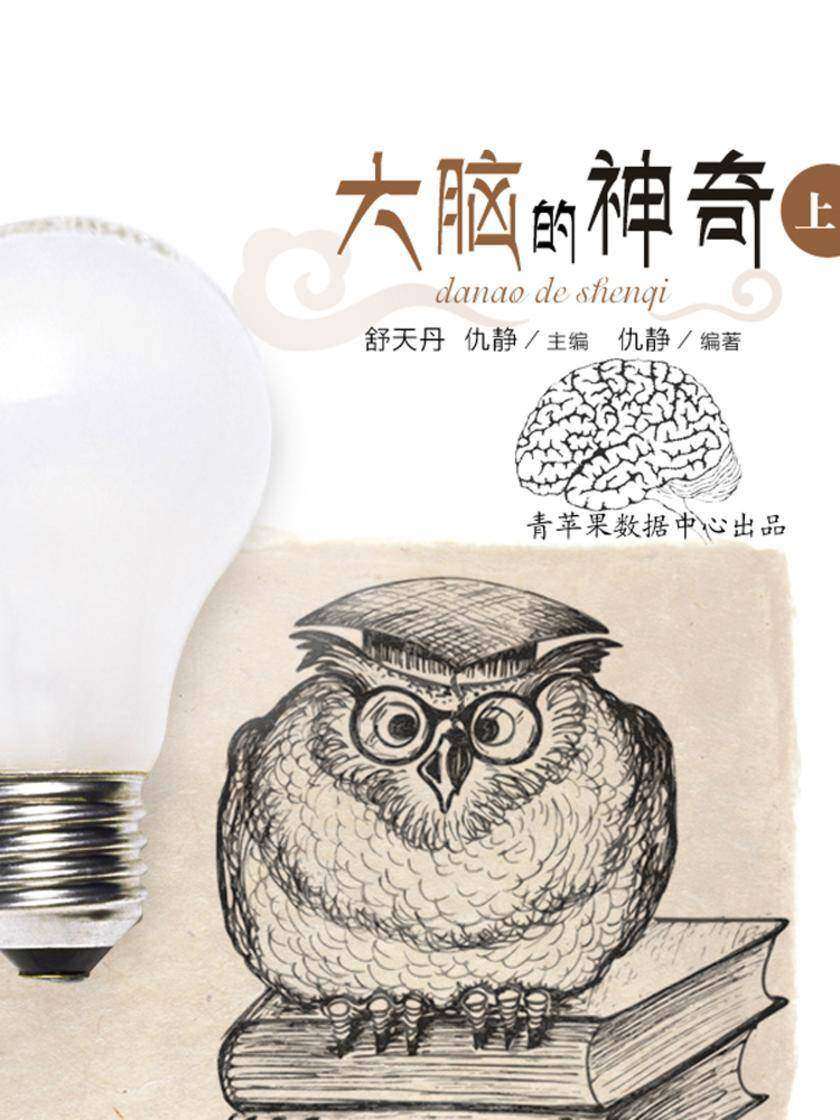 大脑的神奇上