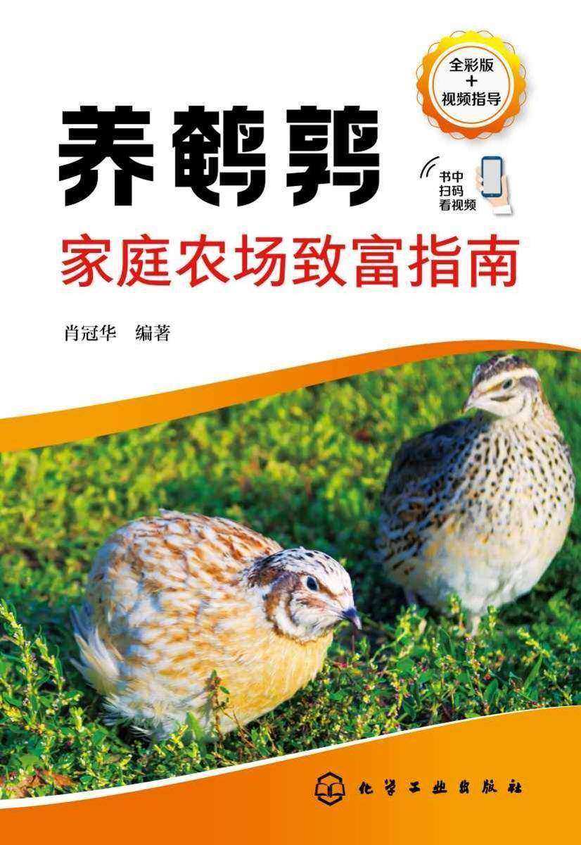养鹌鹑家庭农场致富指南