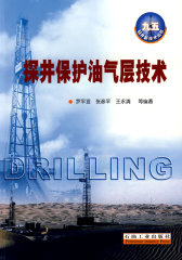 探井保护油气层技术(试读本)