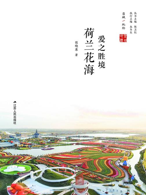 爱之胜境:荷兰花海