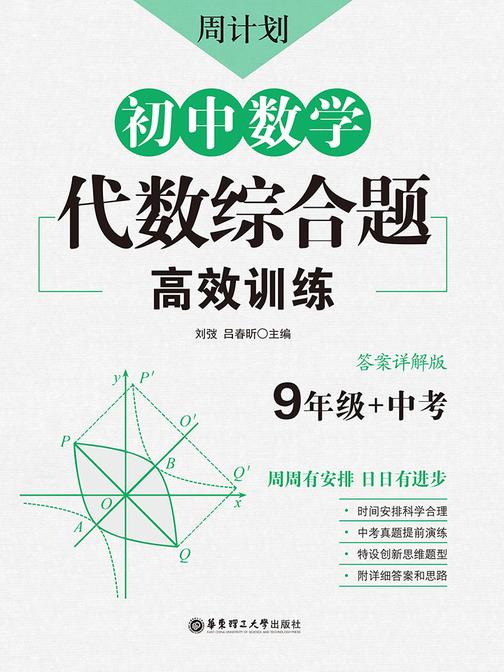 周计划：初中数学代数综合题高效训练(9年级+中考)