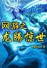 网游之龙腾惊世25
