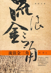流浪金三角(试读本)
