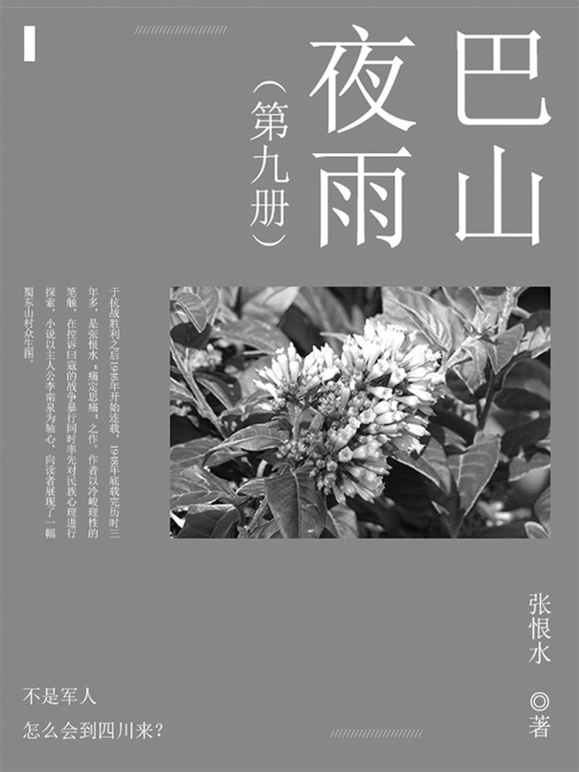 巴山夜雨第九部