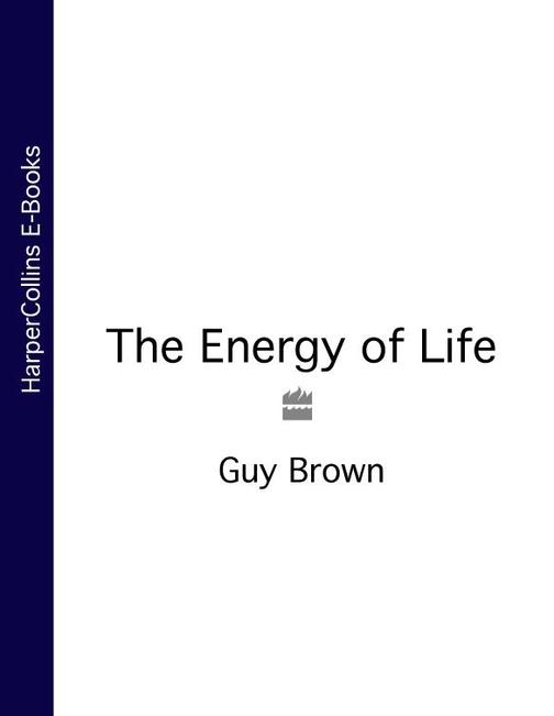The Energy of Life: (Text Only)