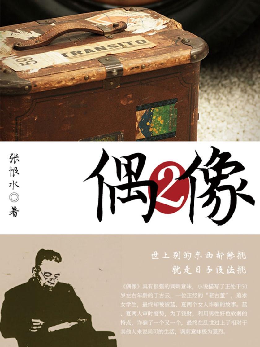 张恨水经典：偶像(2)