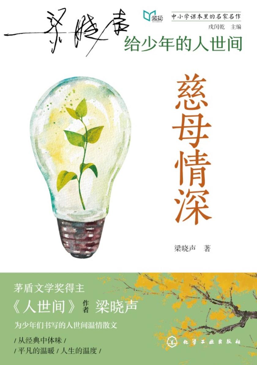 梁晓声给少年的人世间·慈母情深