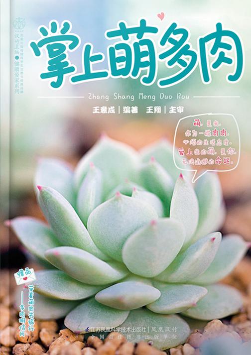 掌上萌多肉(汉竹·健康爱家系列)