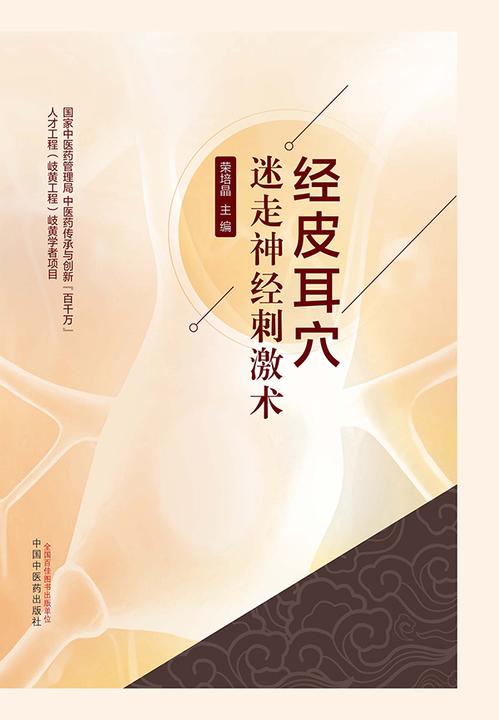 经皮耳穴迷走神经刺激术