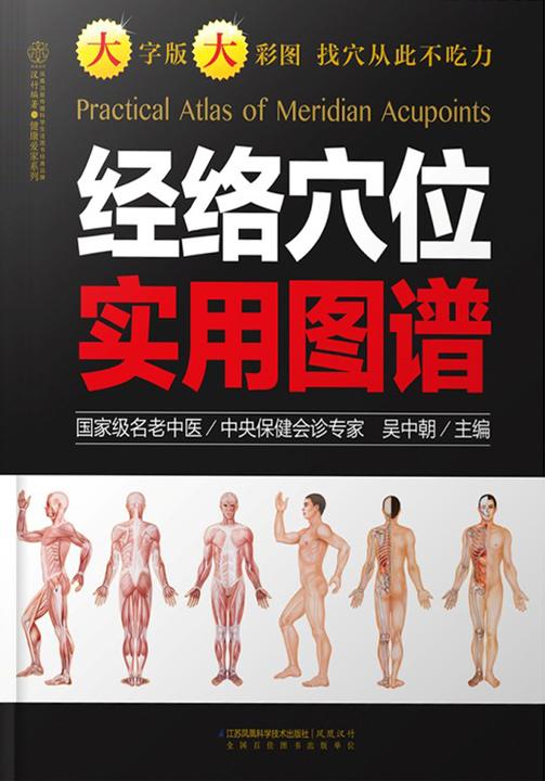 经络穴位实用图谱