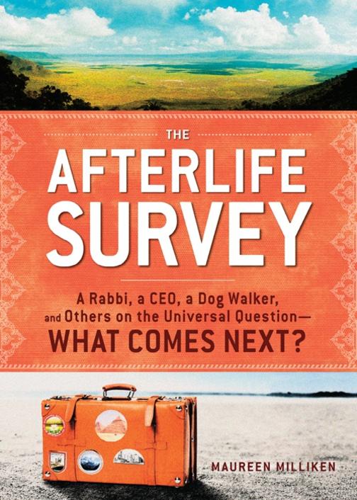The Afterlife Survey：A Rabbi, a CEO, a Dog Walker