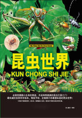 昆虫世界