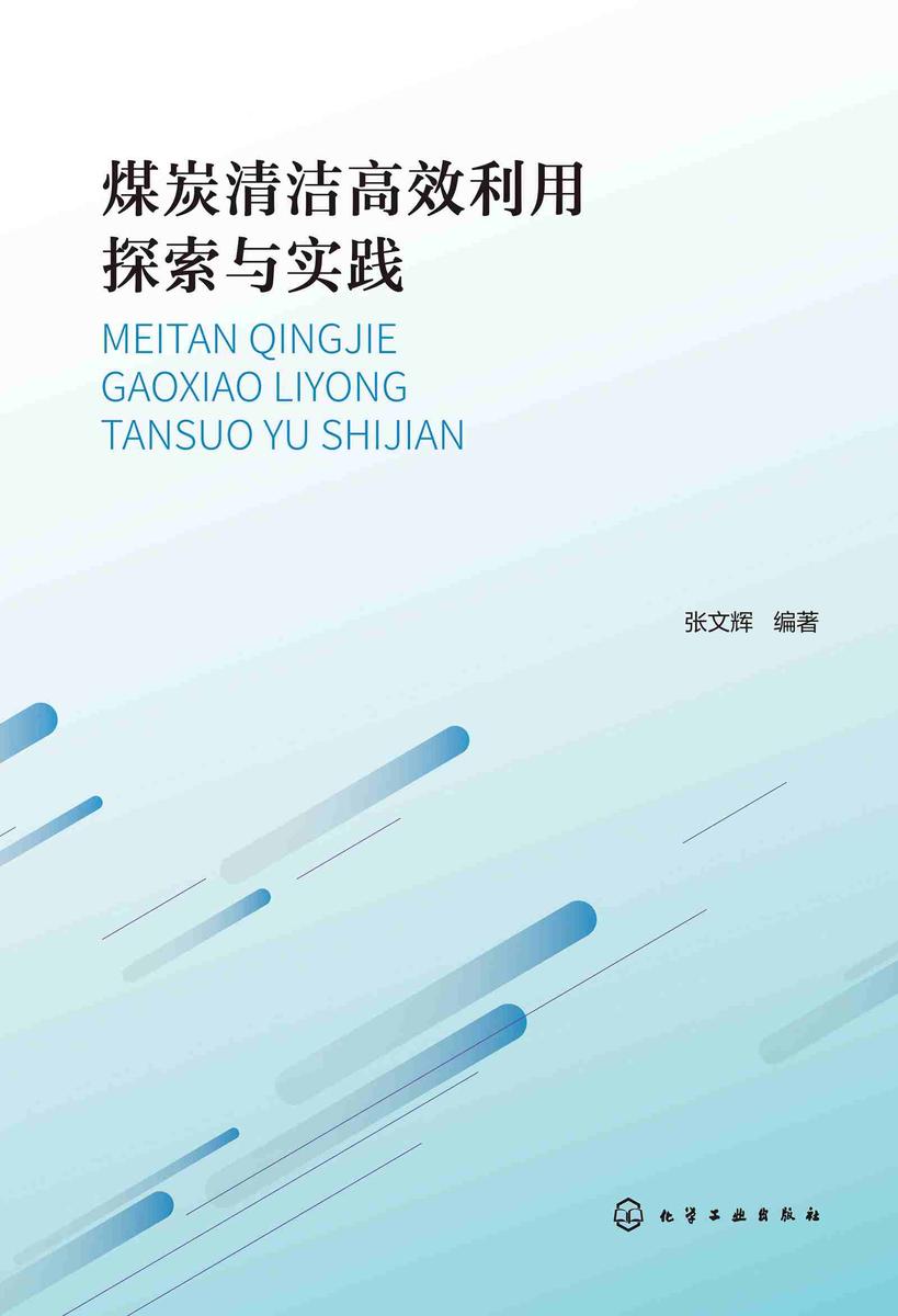 煤炭清洁*利用探索与实践