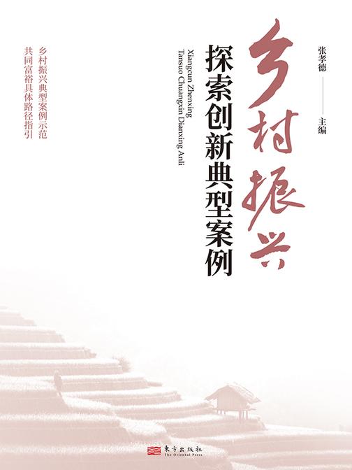 乡村振兴探索创新典型案例