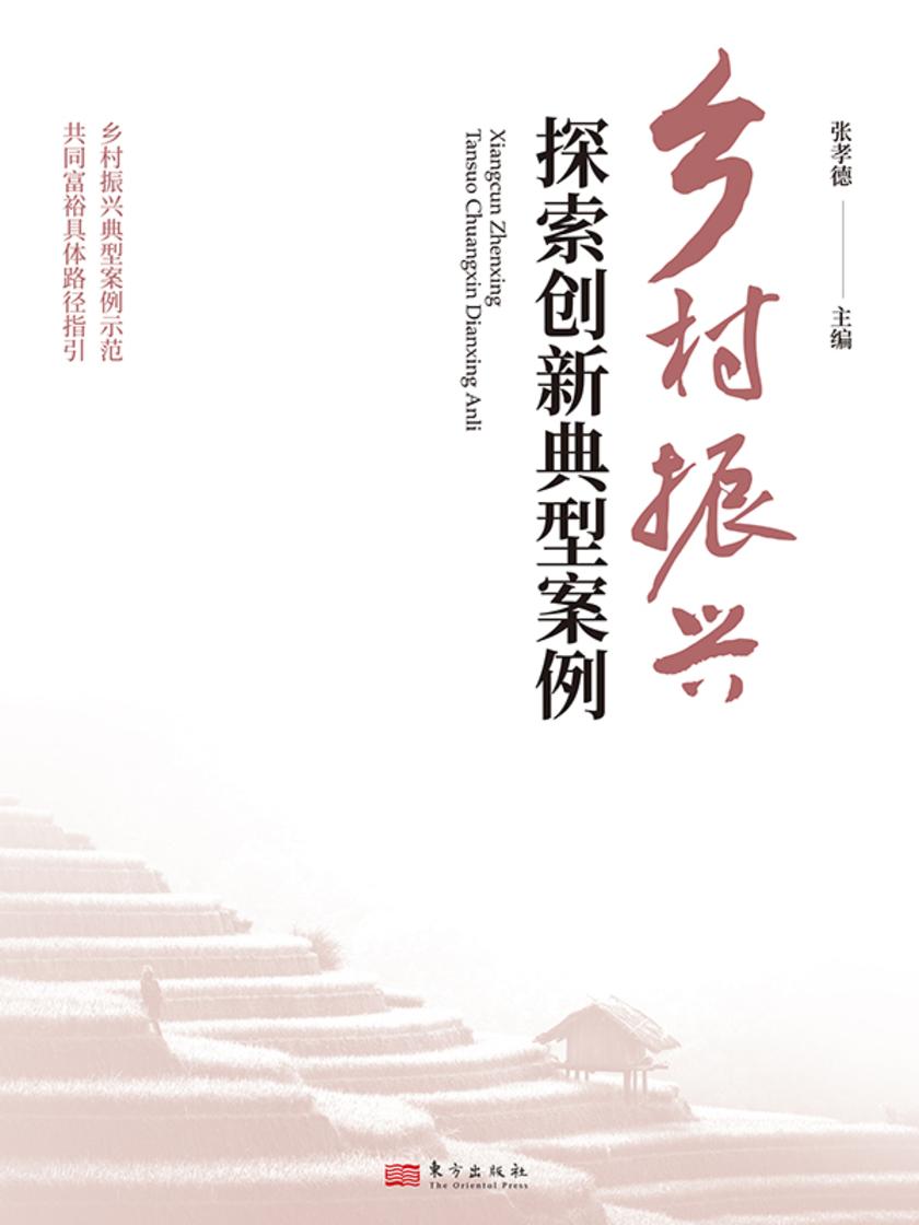 乡村振兴探索创新典型案例