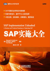 SAP实施大全