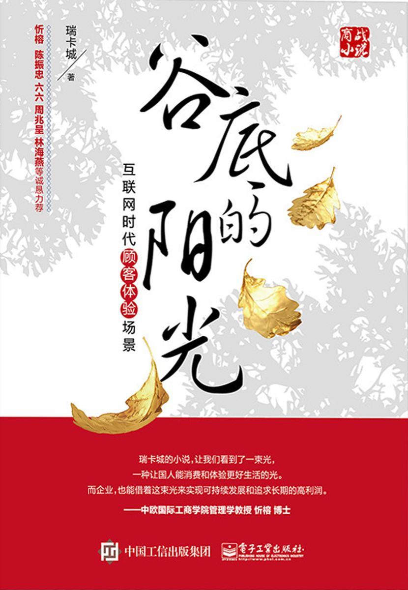 谷底的阳光:互联网时代顾客体验场景