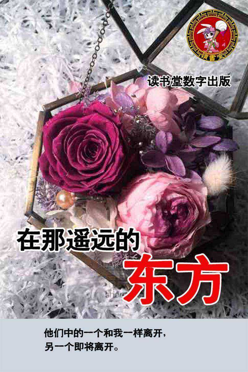 在那遥远的东方