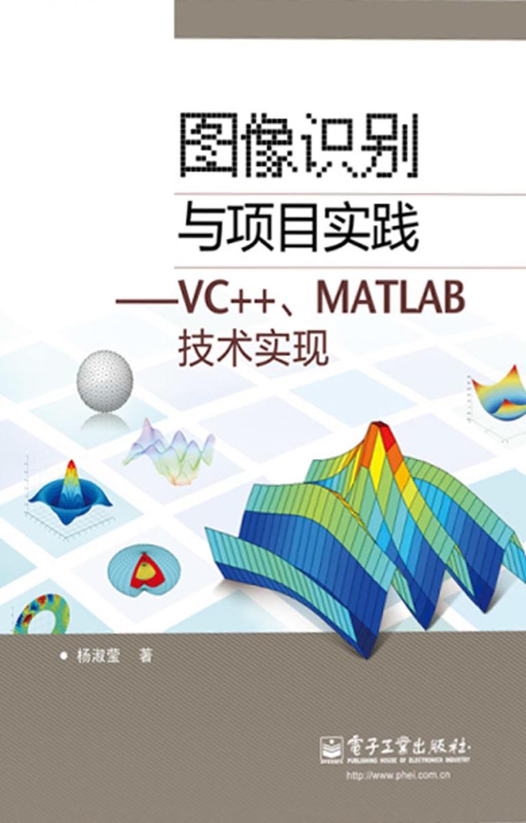 图像识别与项目实践:VC++、MATLAB技术实现