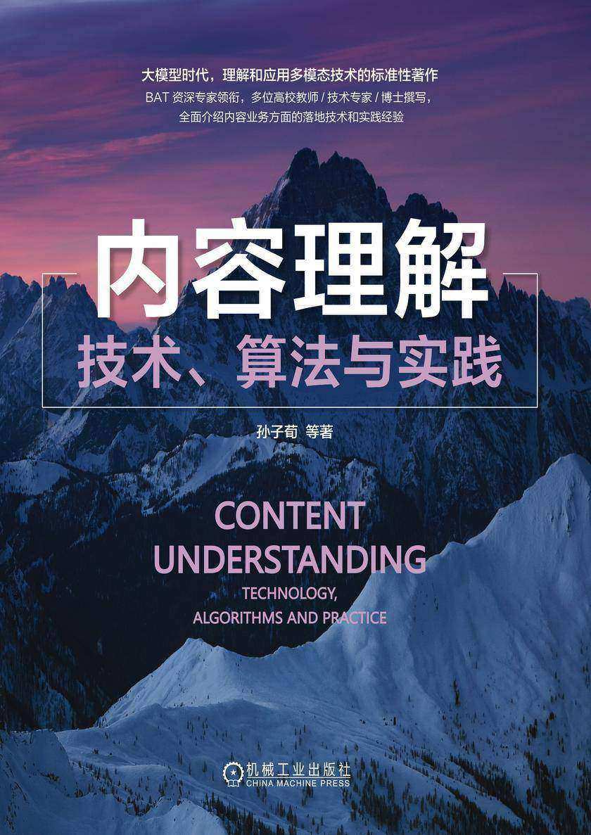 内容理解:技术、算法与实践