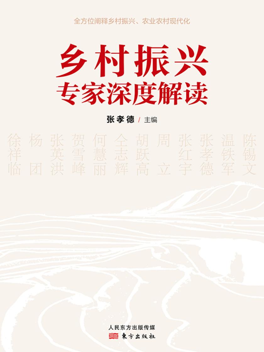 乡村振兴专家深度解读