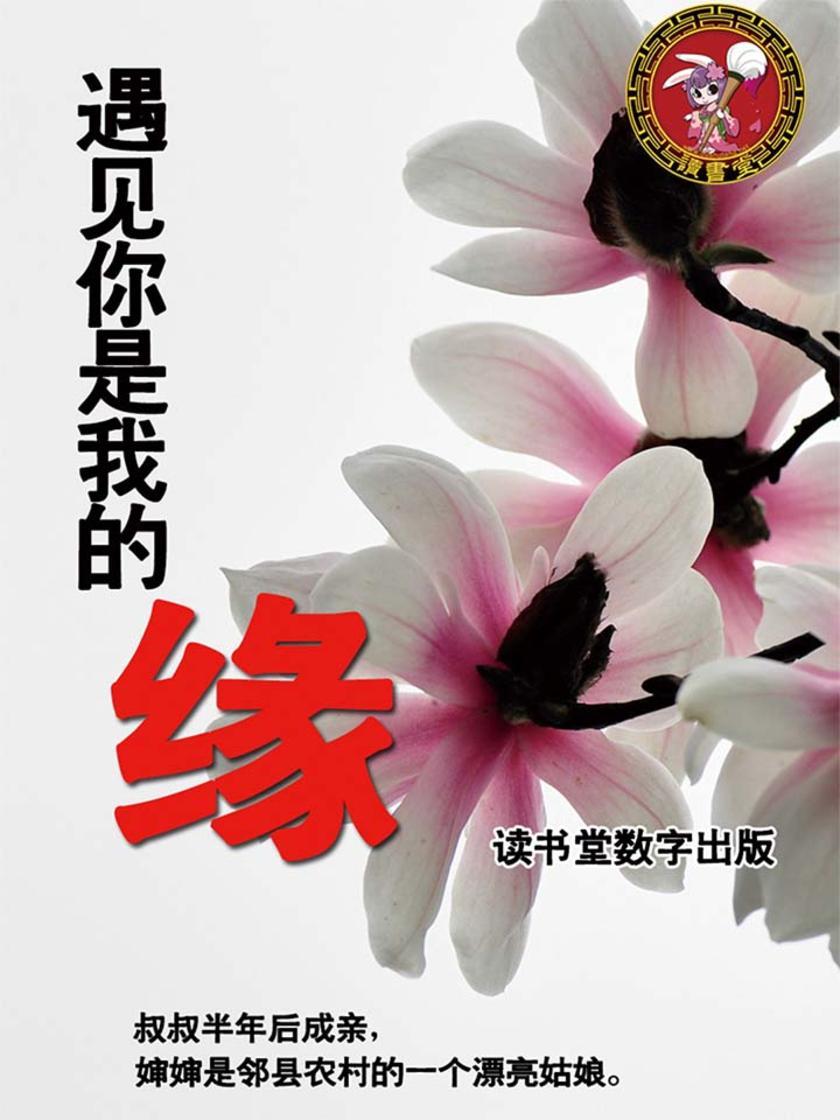 遇见你是我的缘