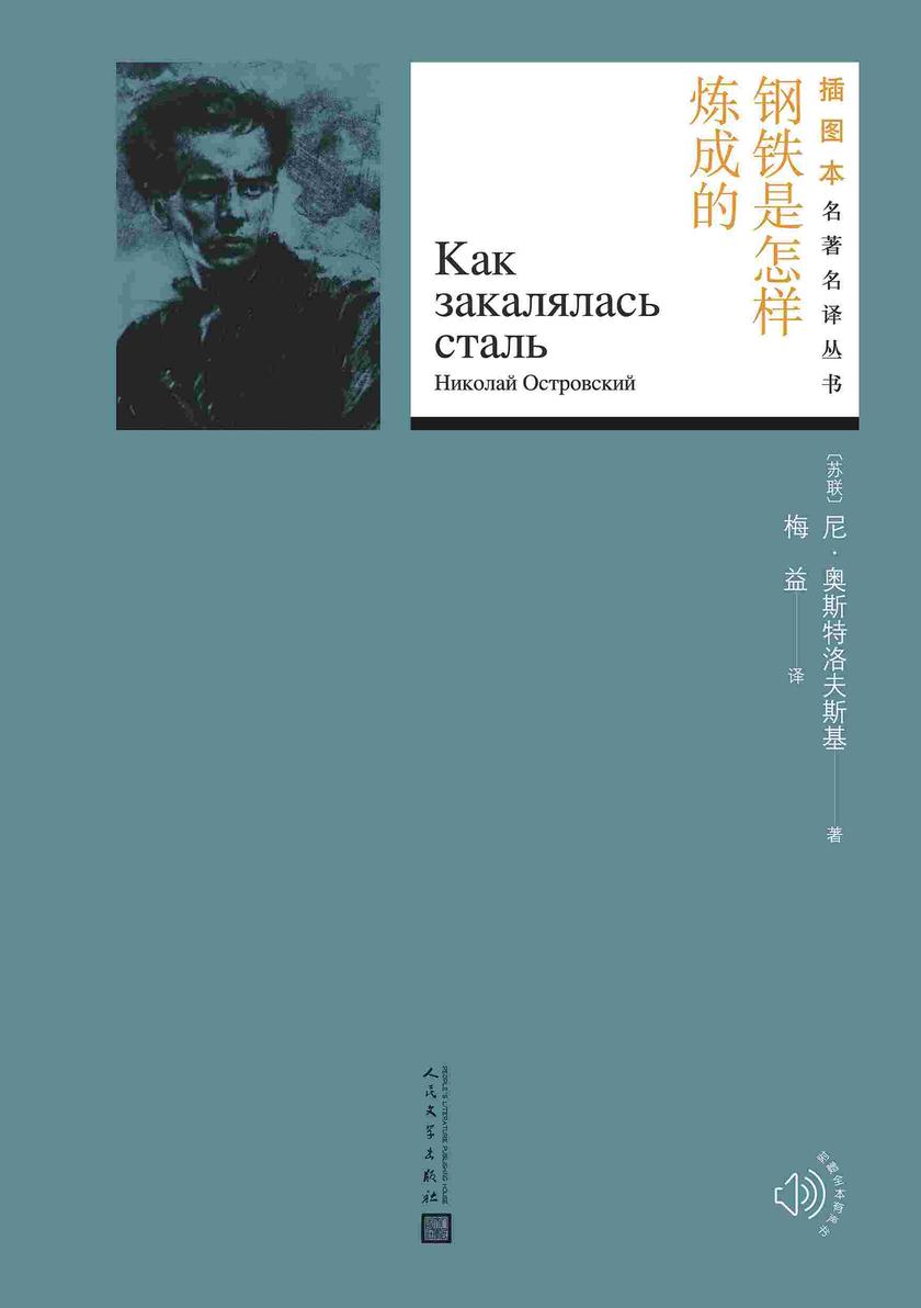 钢铁是怎样炼成的(插图本名著名译丛书)