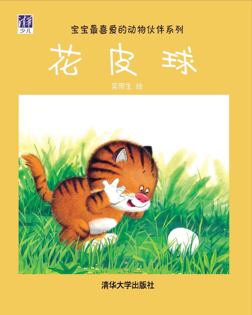 花皮球
