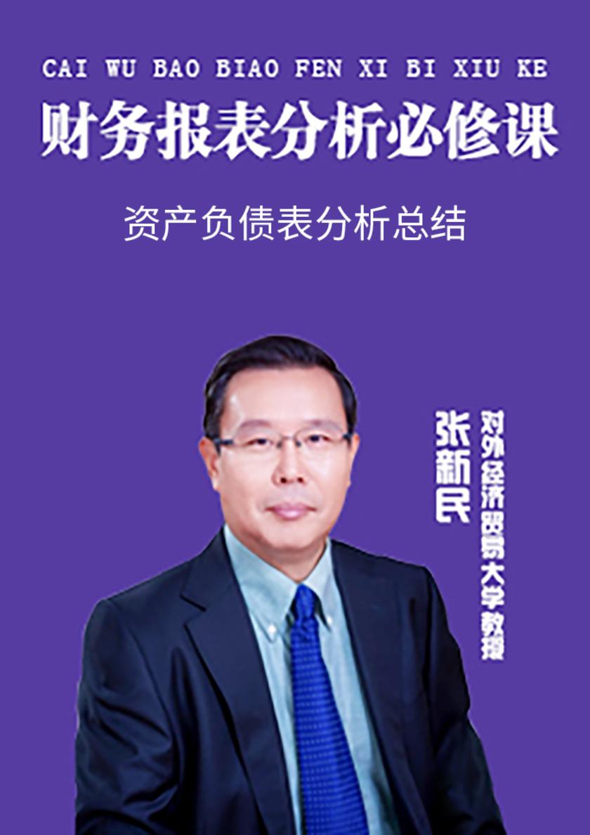 第18集 资产负债表分析总结(此商品为视频课程)