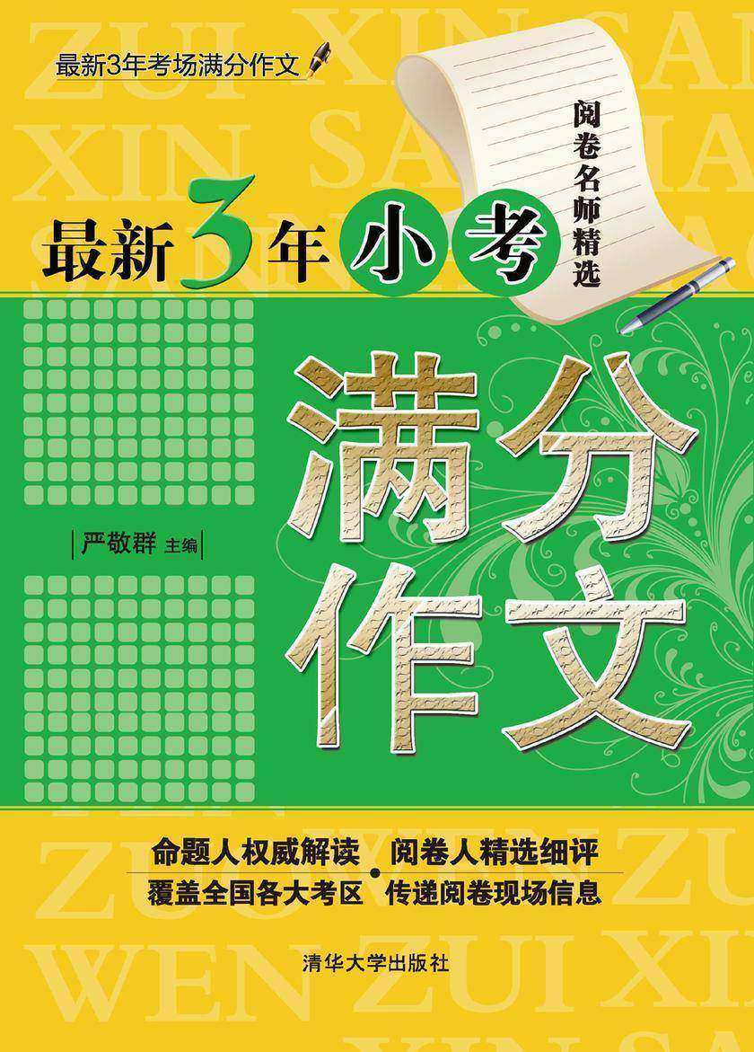 3年小考满分作文