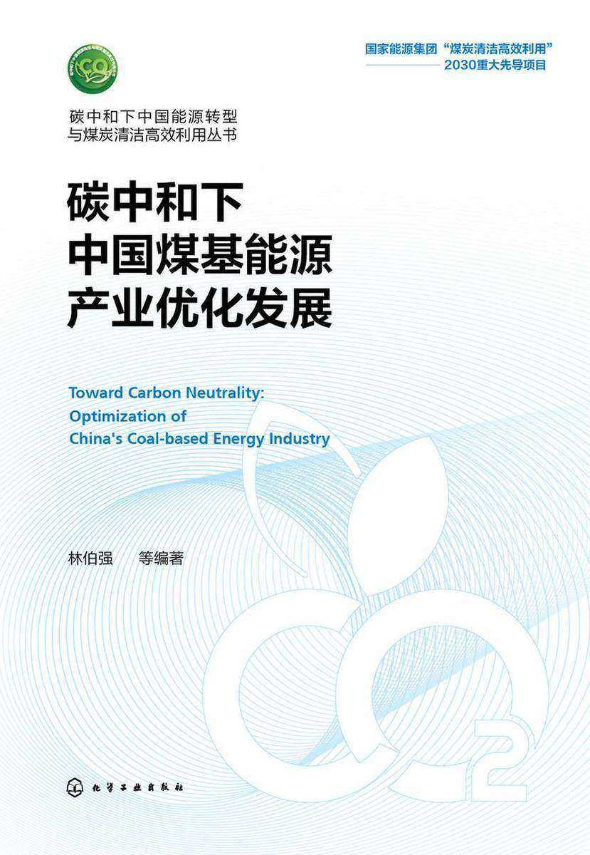 碳中和下中国能源转型与煤炭清洁*利用丛书--碳中和下中国煤基能源产业优化发展