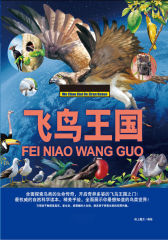 飞鸟王国
