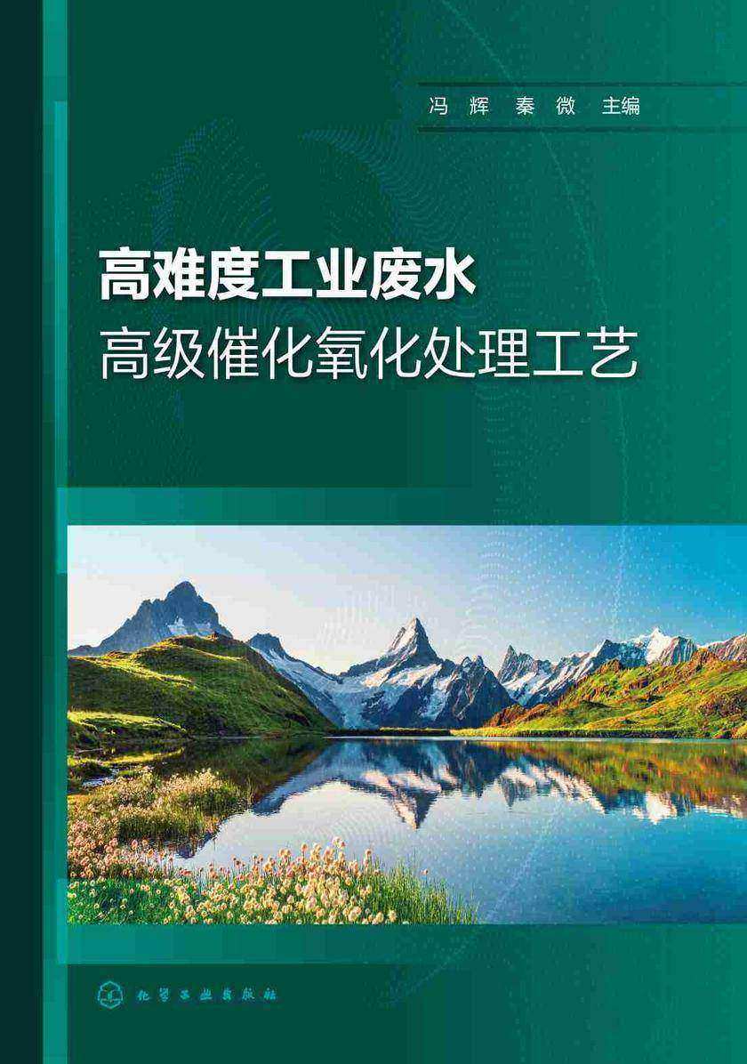 高难度工业废水高级催化氧化处理工艺