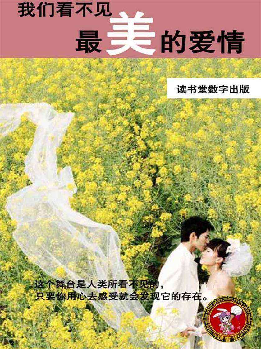 我们看不见最美的爱情
