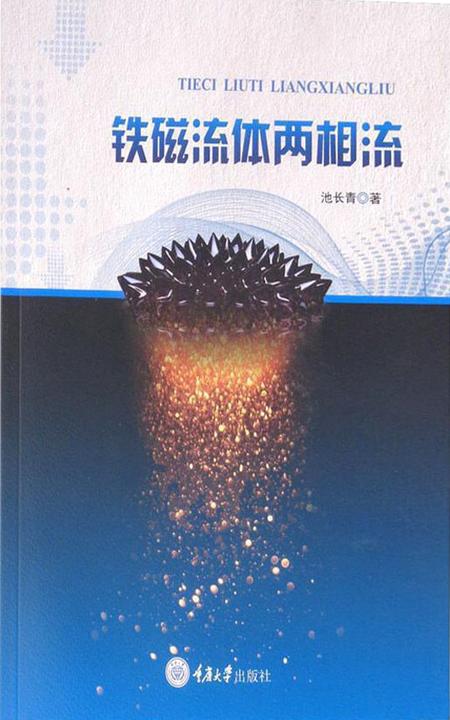 铁磁流体两相流