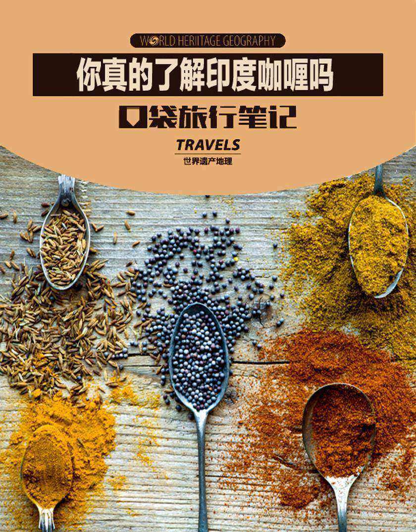 你真的了解印度咖喱吗(世界遗产地理·口袋旅行笔记)(电子杂志)