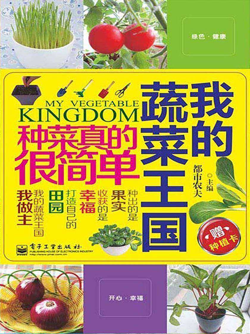 我的蔬菜王国