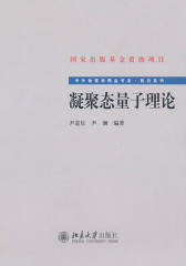 凝聚态量子理论(中外物理学精品书系·前沿系列)