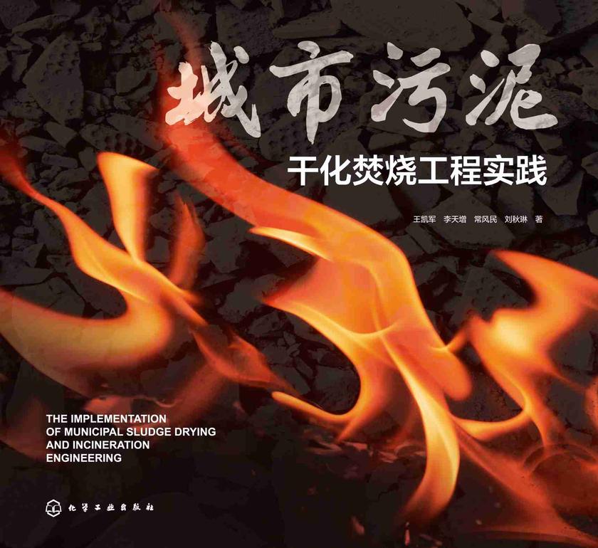 城市污泥干化焚烧工程实践