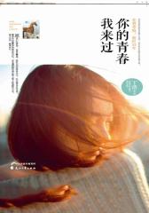 你的青春我来过