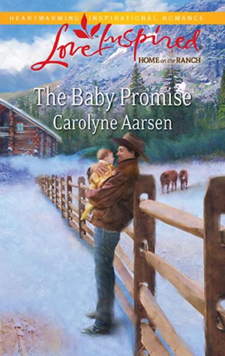 The Baby Promise (Mills & Boon Love Inspired)