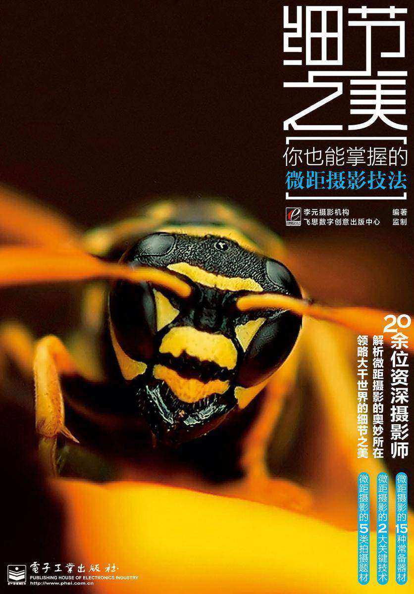 细节之美：你也能掌握的微距摄影技法