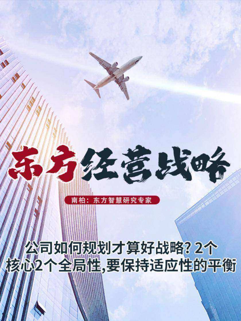 第13集 公司如何规划才算好战略? 2个核心2个全局性,要保持适应性的平衡(此商品为视频课程)