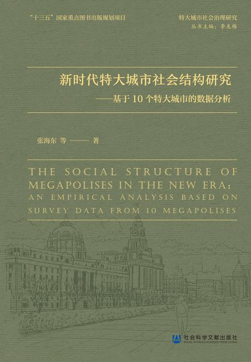 新时代特大城市社会结构研究:基于10个特大城市的数据分析