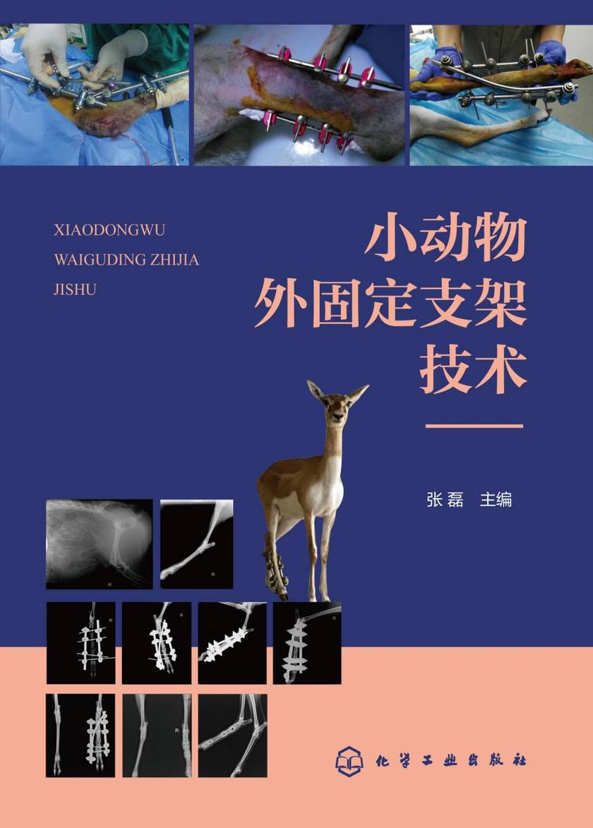 小动物外固定支架技术