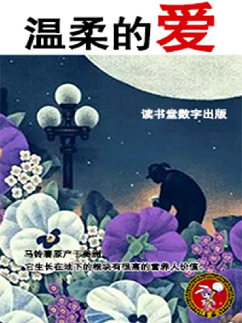 温柔的爱