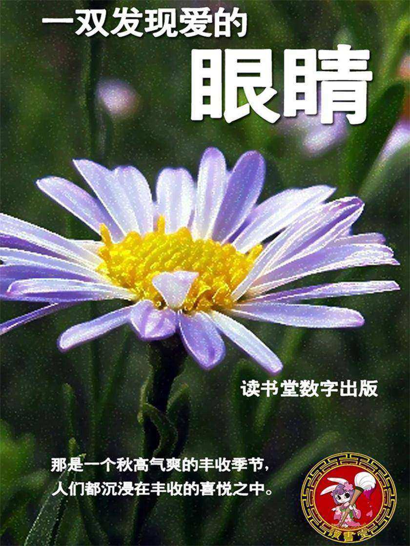 一双发现爱的眼睛
